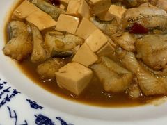 龙鱼烧豆腐-钱塘花园·宁波菜