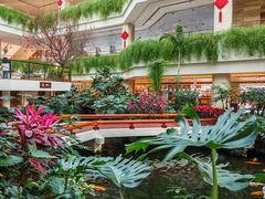 -广州白天鹅宾馆