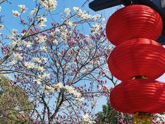 -白马涧龙池景区