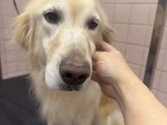 -FAELING PETS美天灵宠物(富力广场店)