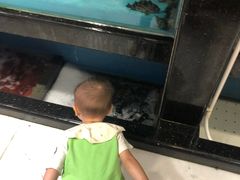 -广东嘉华大酒店·金銮阁中餐厅