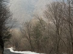 -陕西省红河谷森林公园