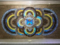 -上海昆虫博物馆