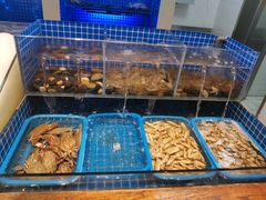 水产区-東大方(海宁海昌路店)