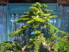 -渝乡辣婆婆·川菜 水煮鱼(中山西路店)