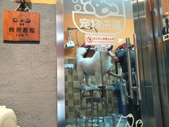 -我爱吾宠宠物美容院(朝阳路店)