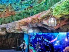 -青岛嘉年华主题乐园