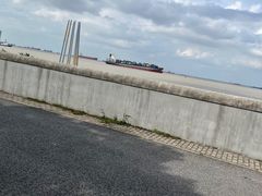 -上海滨江森林公园