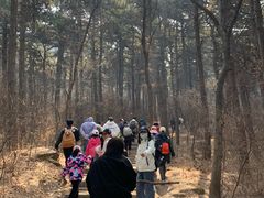 -沈阳辉山风景区