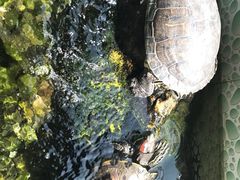 -仙林宾馆-餐厅