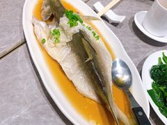 酒酿午仔鱼-鼎泰丰(国贸商城店)