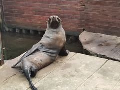 -杭州海底世界