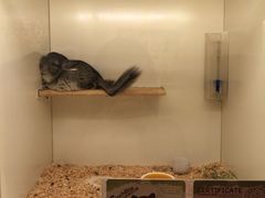 -龙猫仔乐园(惠福东路店)