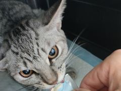 -美联众合动物医院·24h京西诊疗中心