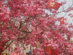 -石岛赤山风景区