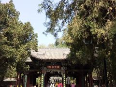 -晋祠公园