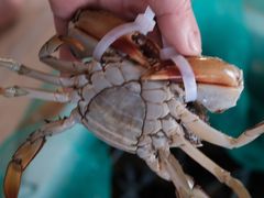 -都斛海鲜街