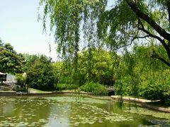 android_upload_pic-上海市龙华烈士陵园