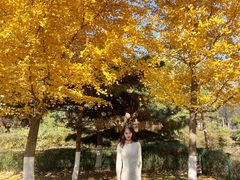 -长白岛森林公园