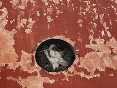 -丝绸小镇荻港古村