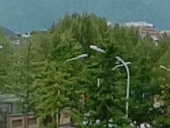 -大班家政月嫂育儿嫂(总部店)