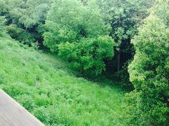 iphone_upload_pic-西湖风景区-江洋畈生态公园