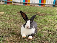 -西部长青自然儿童乐园