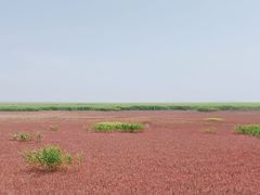 -红海滩国家风景廊道