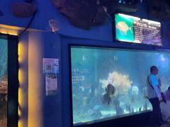 -烟台海昌鲸鲨海洋公园