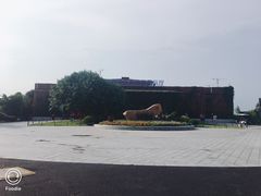 -芒洲湿地公园