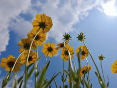 -济南国际园博园