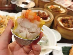 蟹籽烧卖皇-顺德人家食府(黄金广场店)