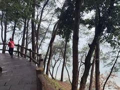 -铁山坪森林公园