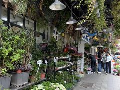 -溪岸路花鸟市场