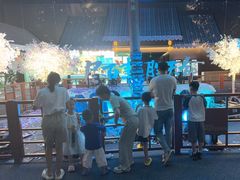 -上海环球金融中心云端足球盛典