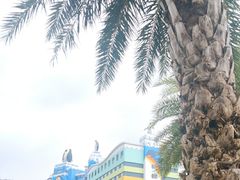 -珠海长隆海洋王国
