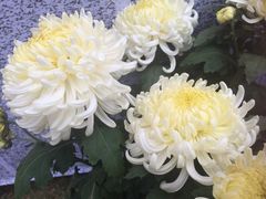 -五通灯塔公园
