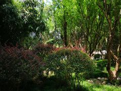 -四川北路公园-地下停车场