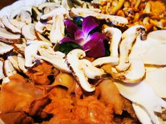 -大理董·董家小厨野生菌火锅(古城旗舰店)