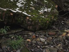-北川老县城地震遗址