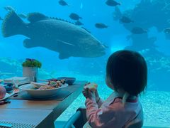 -涛·海底餐厅·美人鱼·自助餐·海底隧道(三亚海棠湾洲际度假酒店)