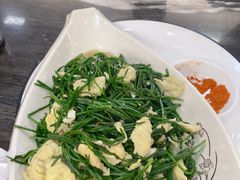 -靖远尕六美味羊羔肉
