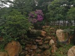 -广州市帽峰山景区
