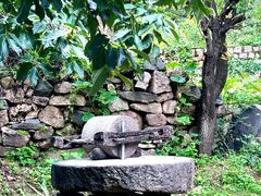 -大岭沟猕猴桃谷风景区