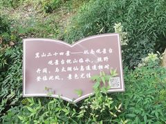 -上海市保健医疗中心