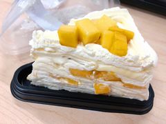 芒果千层-悠客优品(虞锦楼店)