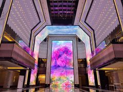 -上海苏宁宝丽嘉酒店·Cafe Bellagio西餐厅