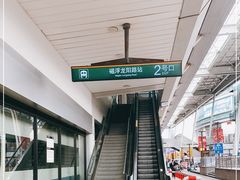 -龙阳路磁悬浮列车总站-停车场