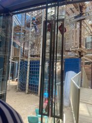 -PIPIKINGDOM皮皮王国欢乐号(欢乐海岸购物中心店)