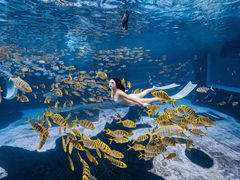 -三亚海昌梦幻海洋不夜城